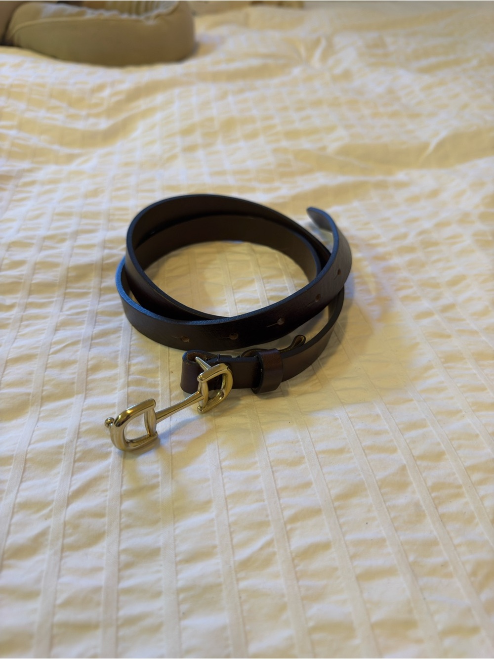 Massimo Dutti Dark Brown Leather Belt with Gold Buckle